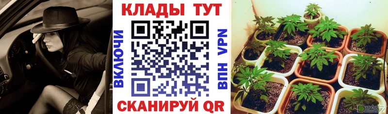 Цена Урус-Мартан COCAIN Каннабис Меф ГАШ