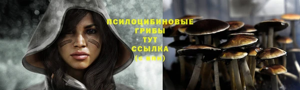мескалин Баксан