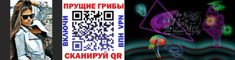 Псилоцибиновые грибы мицелий  Урус-Мартан 